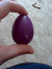 Purple Egg From Master's Goose