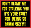 Don't blame me 