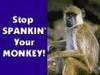 Stop spanking your monkey