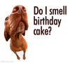 Mmmmm, cake...!
