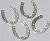 lucky silver horseshoes