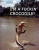 a crocodile!