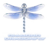 A Diamond Dragonfly