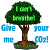 breath taking tree