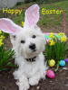 Wishing You A Happy Easter