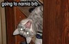 Going to Narnia!