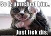 so i punched him liek dis