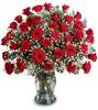 red roses for a special pet