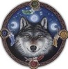 A wolf Guide