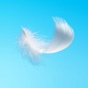 angel feather for luck