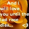 til the last rose dies
