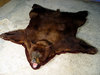 Bear skin rug