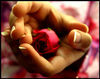 For Someone Special...♥♥ ♥