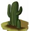 Picture of a Cactus