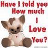 How much i love you 