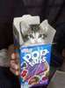 Kitty In A PopTart Box