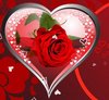 ♥♥Heart of Roses♥♥
