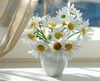 ♥ wishin u a sunny day♥. 