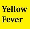 ~Yellow Fever~