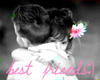 hugs for best friends