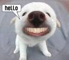 Hello buddy =DD a smile for u