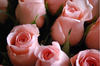 For You