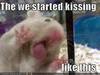 Hamster Kiss 