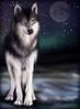 lone wolf...thats what i am