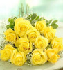 Yellow Roses For You