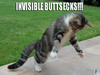 Invisible Buttsecks!