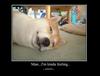 Sleepy Time