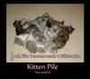 Kitteh Pile!