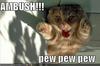 An ambush!