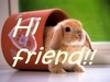 Hi friend,