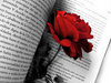 Love on your page...