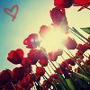 ♥ Have a Wonderful Day ♥