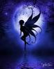 A Midnight Moon Fairy