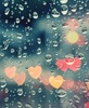 Drops of love