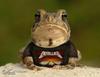 Metallica Frog