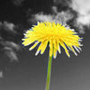 ♥ Just For You ♥