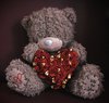 I Love my Owner♥