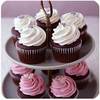 sweet cupcakes for you