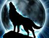 Full Moon Howl