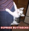 Surprise-Buttsec ks!!