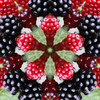 berry kaleidoscope