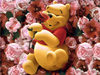 Pooh bear in roses bed