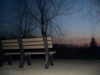 Lonely Bench