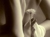 ♥ Here to wish you well ♥ 