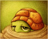 a melancholic baby turtle