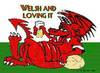welsh and loving it 